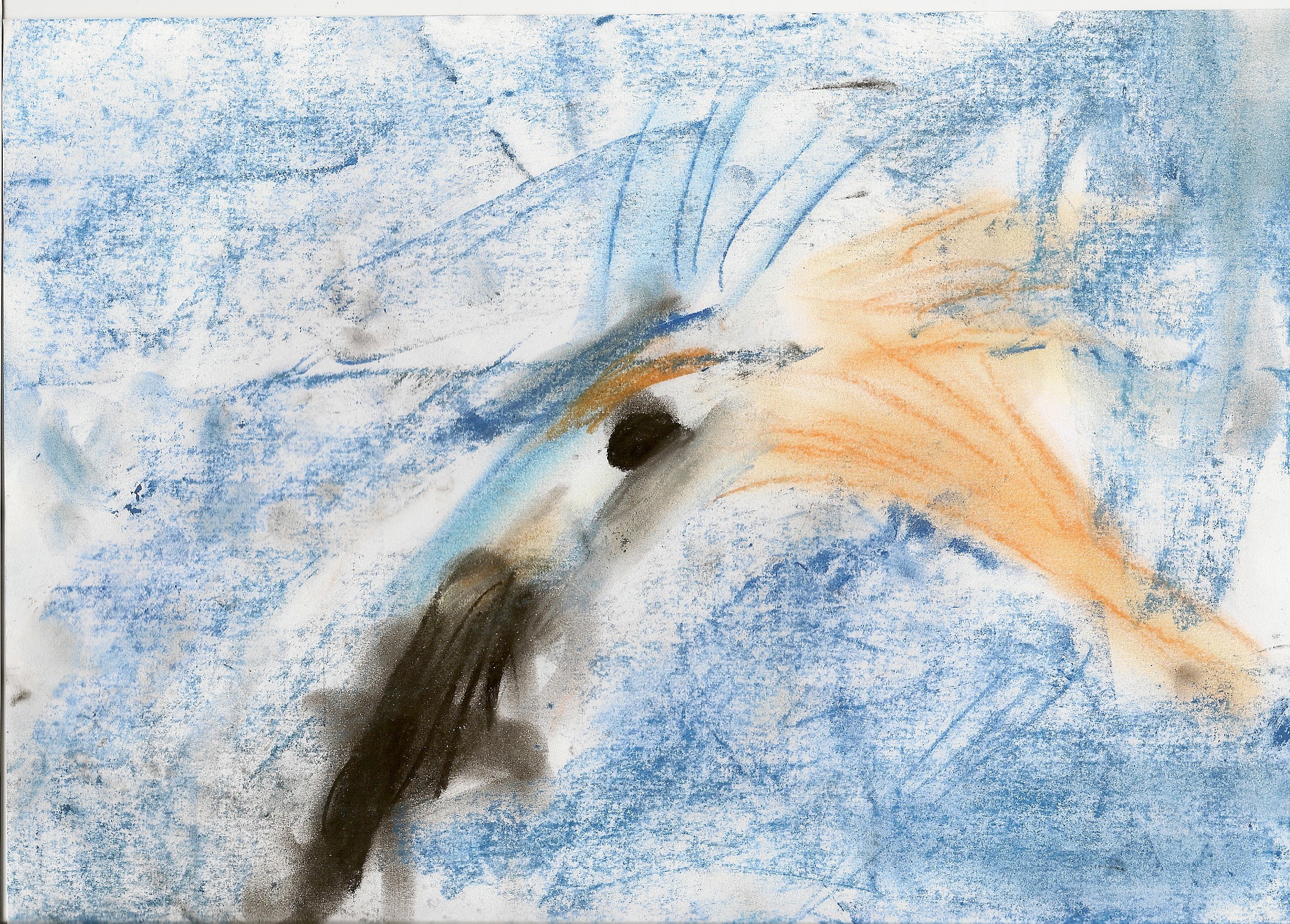 Kingfisher
